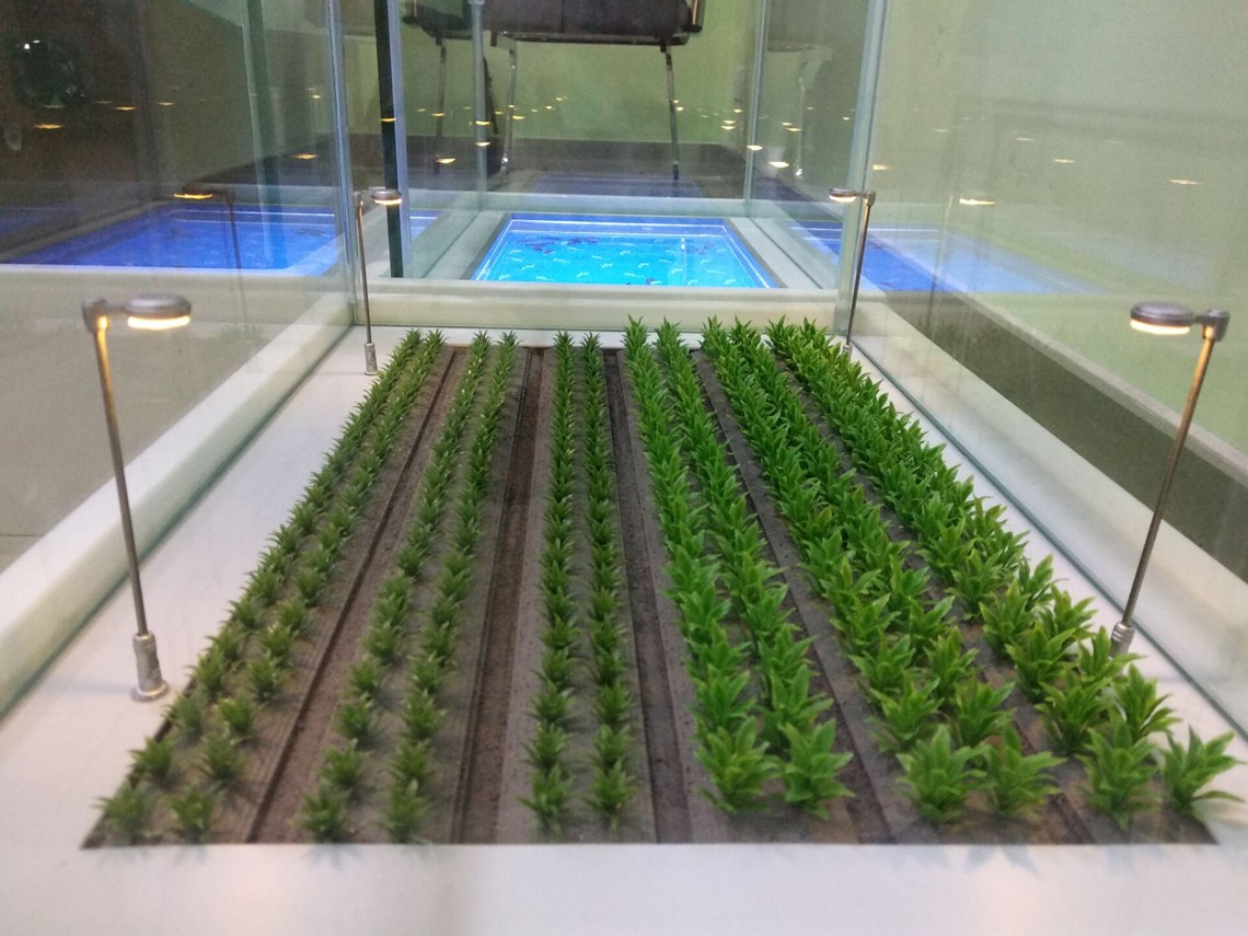 1592536115988802.jpg 智能農(nóng)業(yè)沙盤